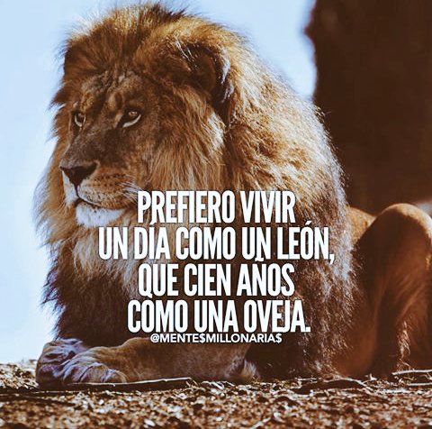 vegueta05's tweet photo. https://t.co/cpD615pdR5