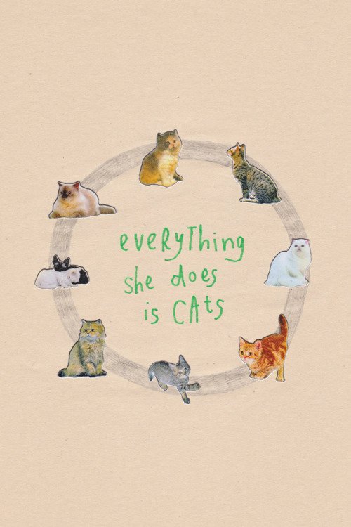 FullCatHouse's tweet image. a story about me