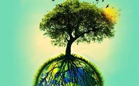 Environment tweet media