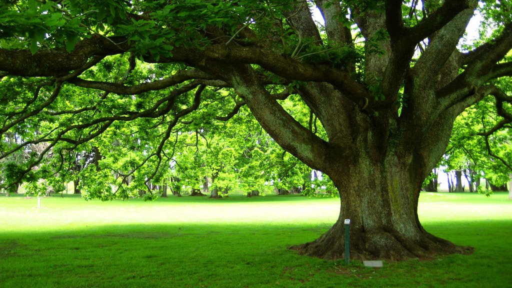 FWaterSys's tweet photo. #FluidFact
In one day, a full grown oak tree expels 7 tons of water through its leaves.
#TreeWater https://t.co/zAAFZ0ZpRp