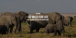 Environment tweet media