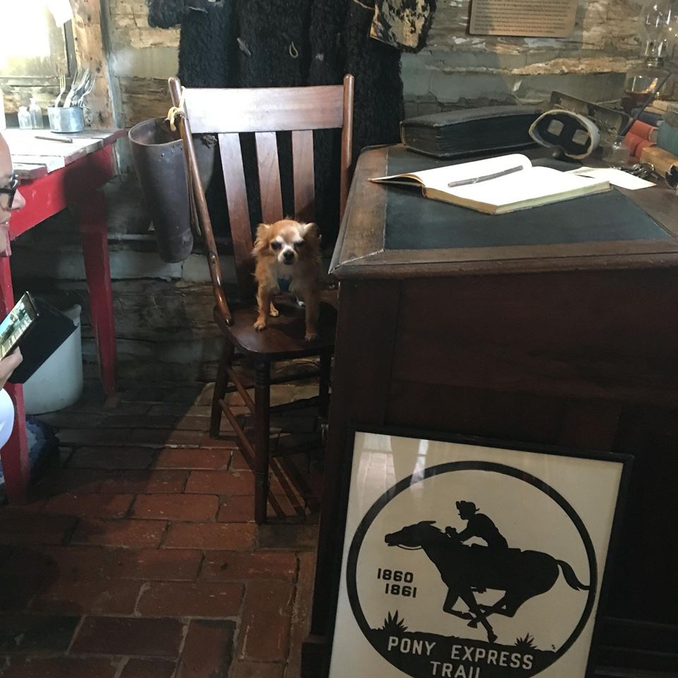 JackTravels's tweet photo. Me at #PonyExpress like the @travelocity #gnome. On to #WY &amp; #CO #RedCarpetStatus #GetOnMyLevel #BeenThereDoneThat https://t.co/xxmDB4c7FG