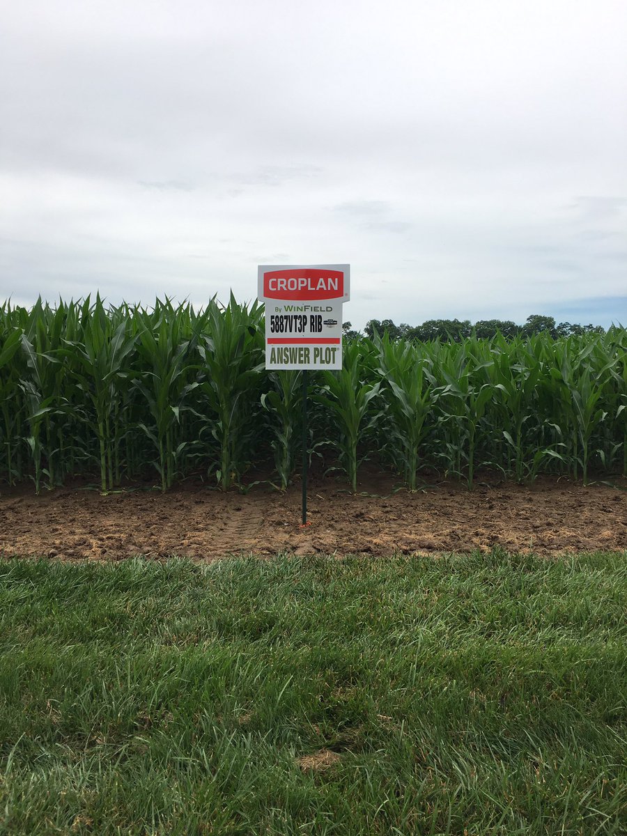 Ryan_SAA's tweet photo. Pershing Answer Plot has shown great response to Gold and sliver this year! #BEGREATER https://t.co/MRSEI8bBbP