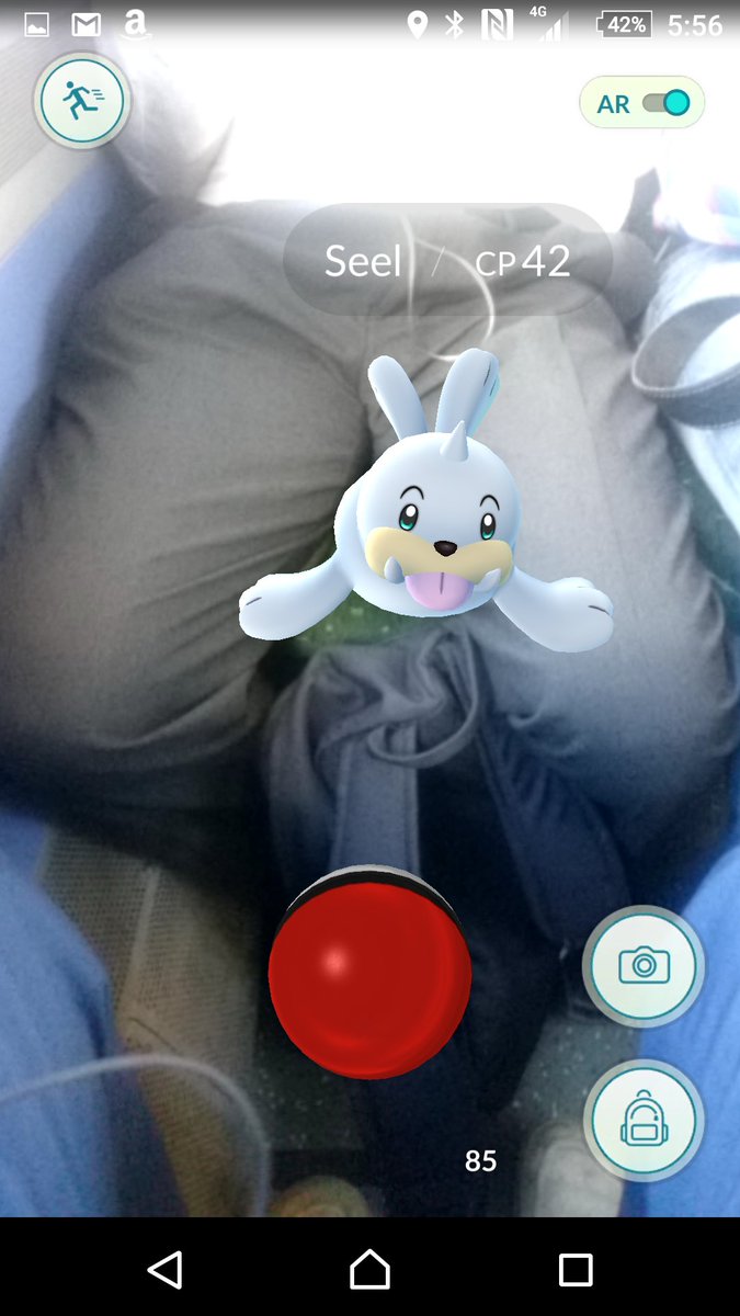 jishyd's tweet photo. This guy opposite me got a seel dick. #PokemonGO https://t.co/rfzQsUSC1Q