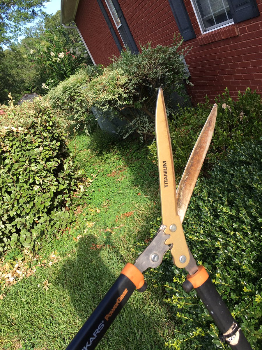 itsmobs's tweet photo. I'll make a video then Stream after I cut the bushes and pull the weeds #dlcweapon confirmed https://t.co/ZHKSICDvgp