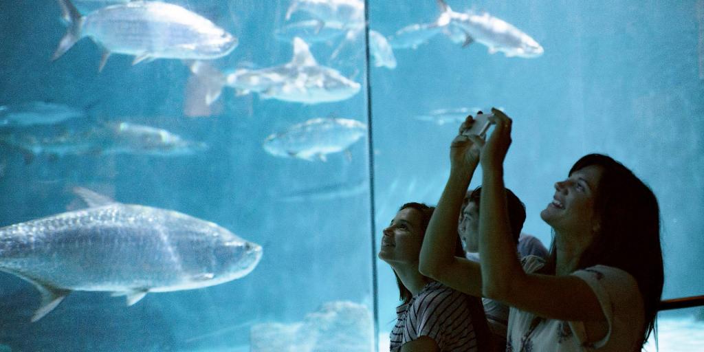 Reveal your mystery bonus and you could get up to 60,000 #IHGRewardsClub bonus points! ihg.cm/4eIgRZ