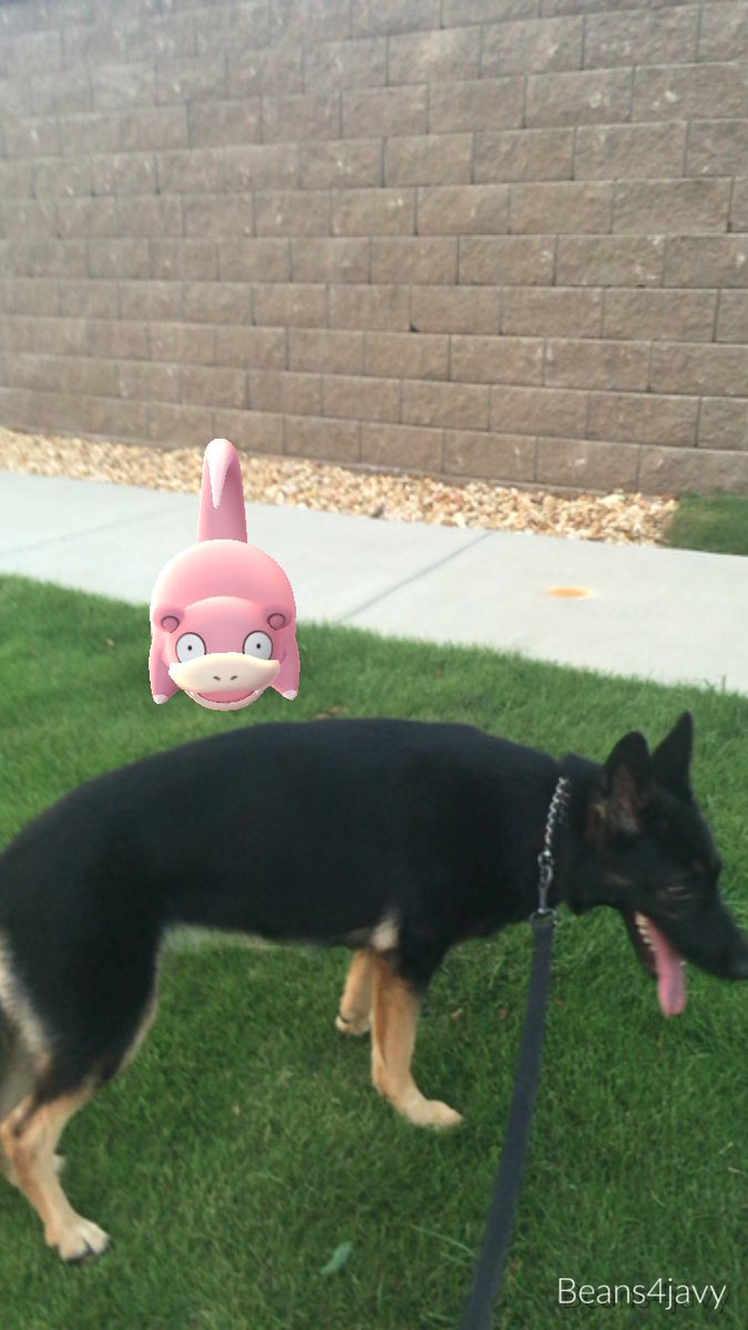 mjmarti1's tweet photo. Just walkin https://t.co/UyVQ72Ol8o