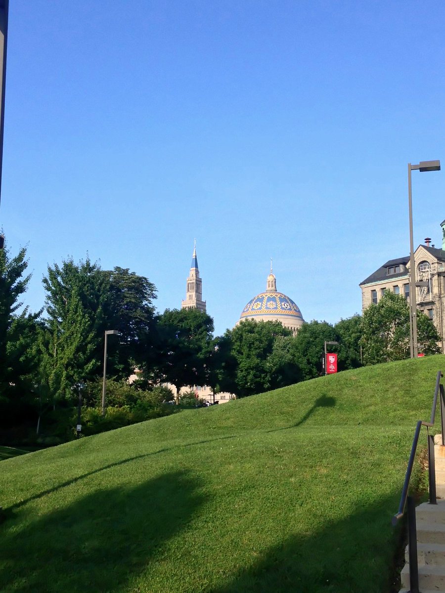 CUAlibraries's tweet photo. It's going to be a scorcher today. Good thing campus has a ton of lovely trees providing shade. #cua #howiseecua https://t.co/QMtjzPYIRY