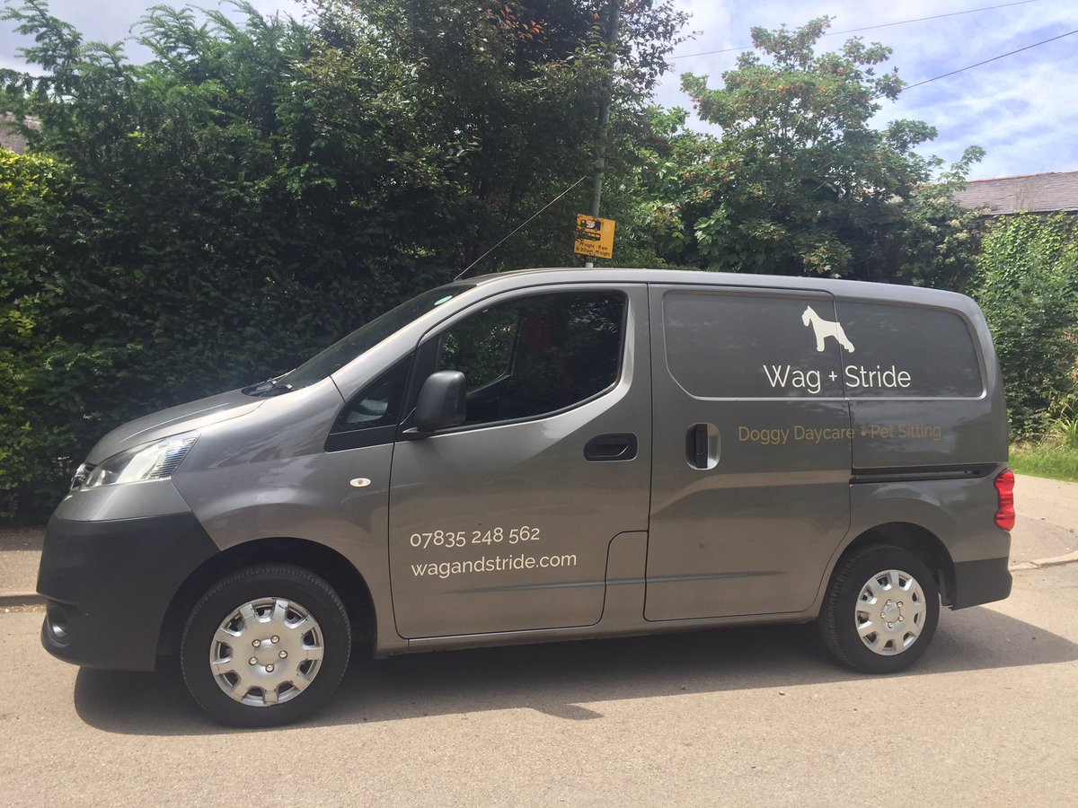 Wag + Stride tweet media