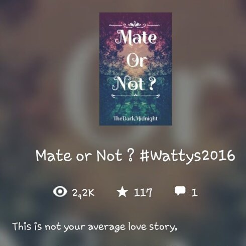 TrezayBuys's tweet photo. OMG so many reads! Truly grateful! #author #writer #writerscommunity #MateOrNot #werewolves  #excitement #Wattpad https://t.co/tynS0YfD1Y