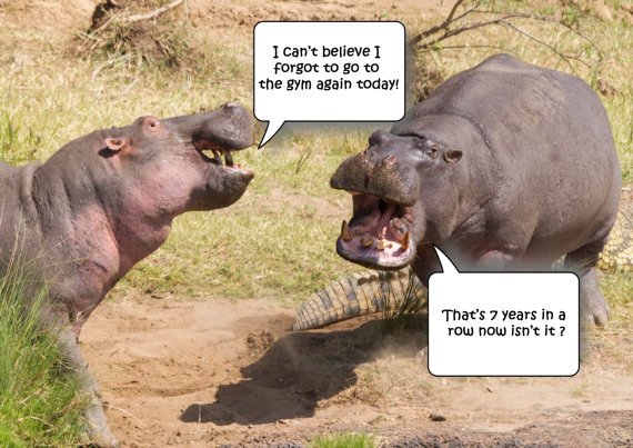 rmdoltonphoto's tweet image. One of my #greetingcards found in my #etsy shop at etsy.com/uk/shop/RMDolt… #hippo #gym #loseweight #funnysaying