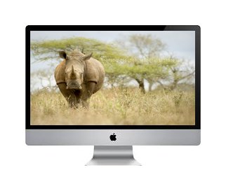 htwithelephants's tweet photo. Another month, another beautiful image to place on your desktop. #loverhinos #htwe https://t.co/dLUyMrscKy https://t.co/FdLUL5JnYv