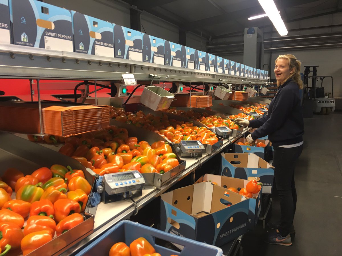 De meeste vitamine <a href="/zwingrow/">zwingrow</a> de meeste muziek &amp; fijnste recepten hoor je op #Paprika tastyradio.nl