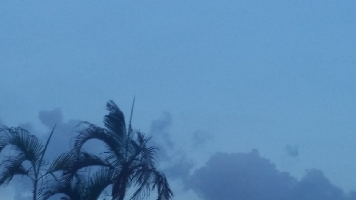 catertoliberty (@catertoliberty) on Twitter photo 