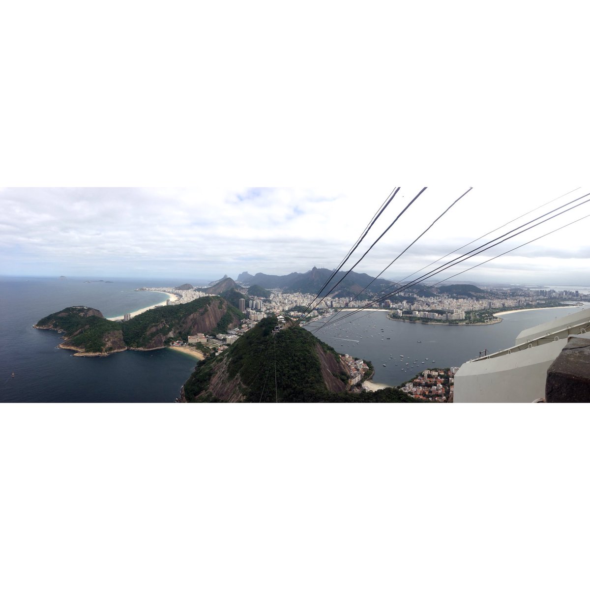 Andrea Brewster tweet media