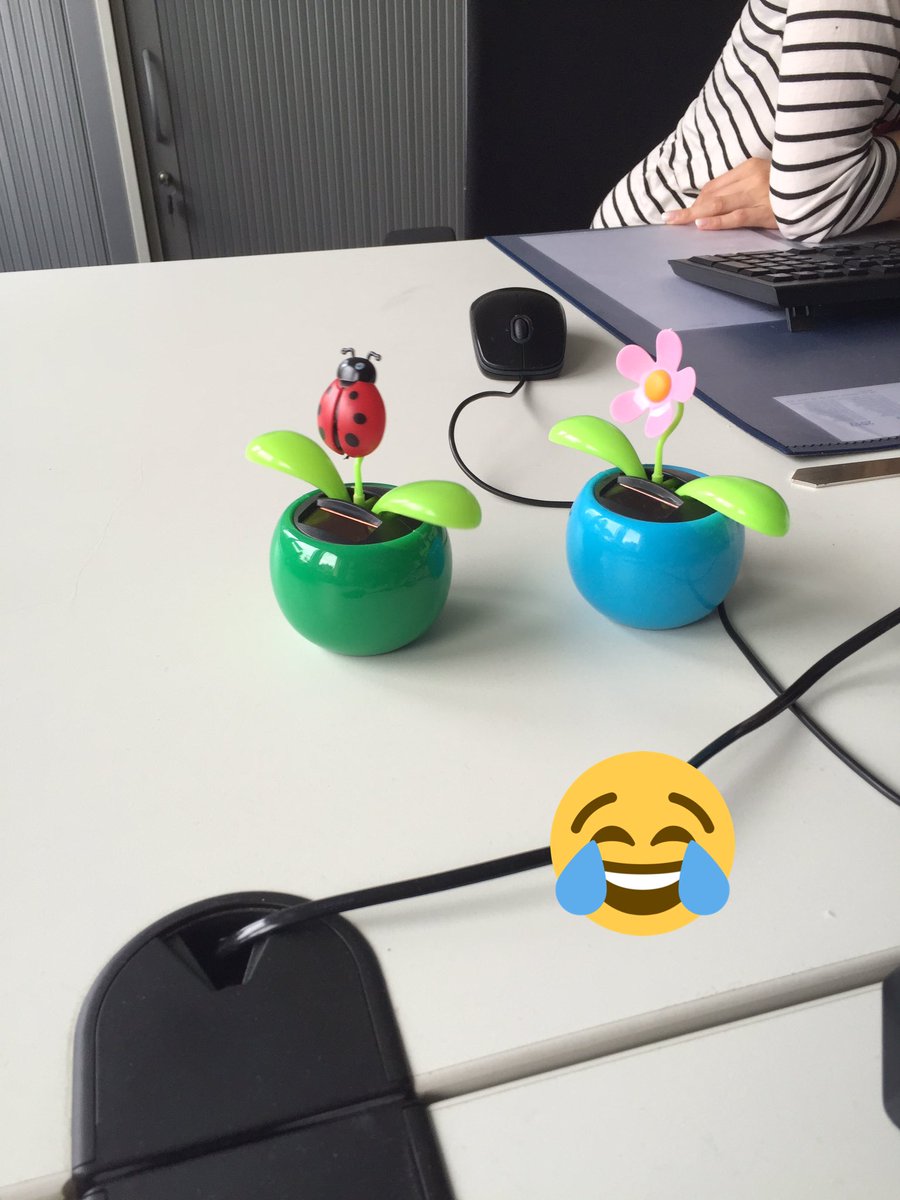 birgit_pier's tweet photo. Meine Kollegin versorgt mich nicht nur mit Fencheltee. Sie sorgt auch für Bewegung auf dem Schreibtisch. https://t.co/BdaDpY7zZe