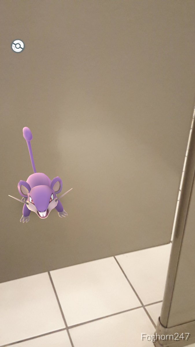 JakeSobel's tweet photo. Little guy tried sneaking up on my when I was vulnerable. Good trainers r always ready. Proud new owner of a Rattata https://t.co/rinvQ07oBp