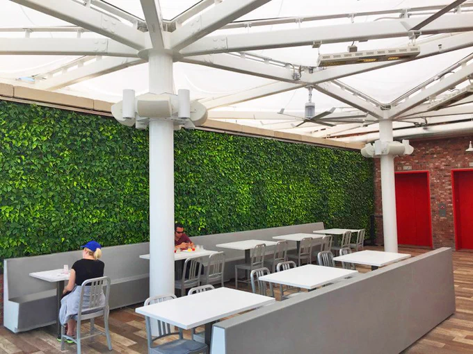 Image from GSky Plant Systems (@gskygreenwalls)