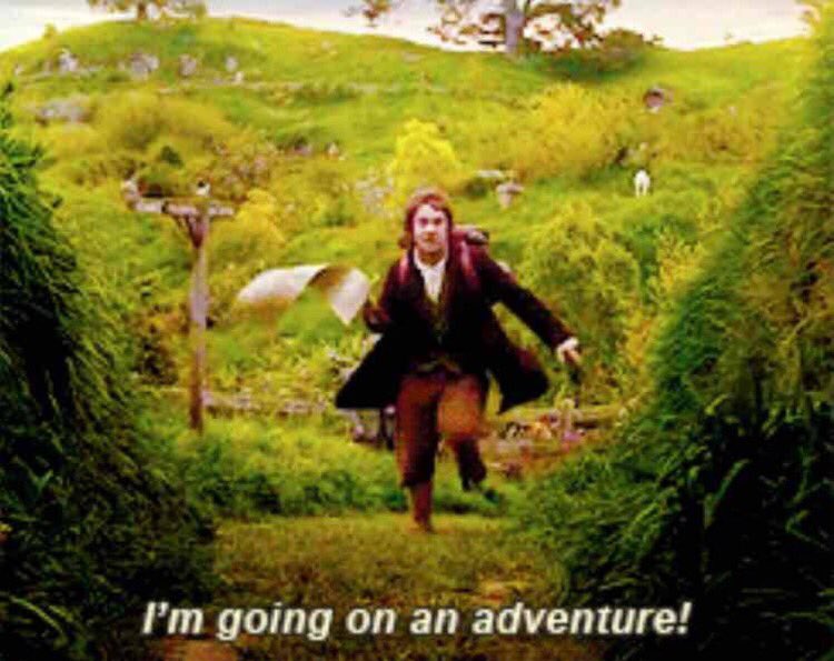 UNILAD's tweet photo. When you get #PokemonGO https://t.co/i6y8zalFNL