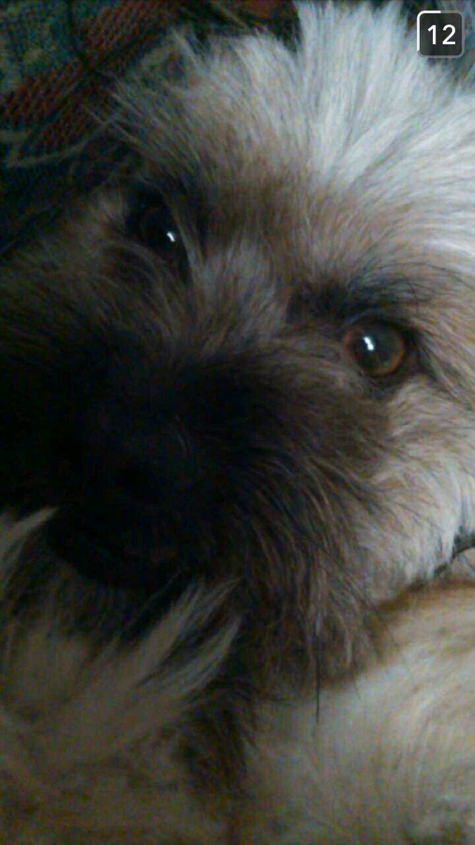 tradleysprouse's tweet photo. puedo querer mas a mariajo? https://t.co/drz3rRGFRB