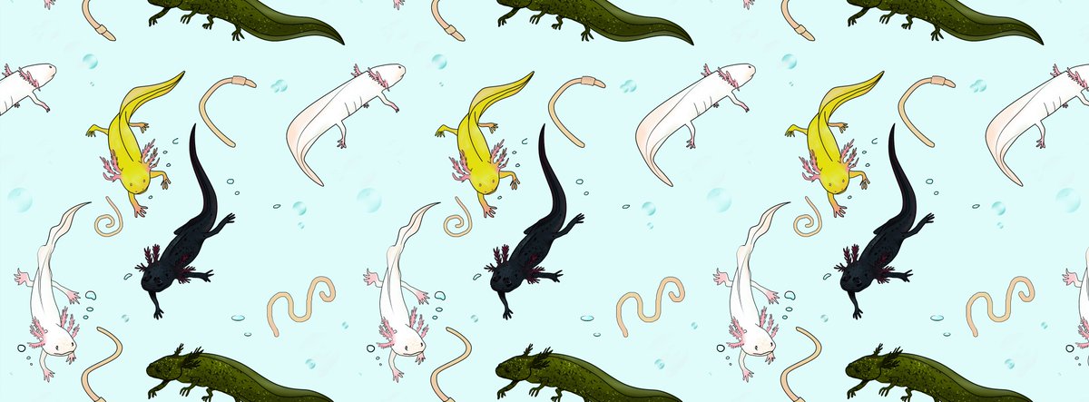 GClart's tweet photo. #axolotl #pattern #texture #desktop #profilepic #water #cute https://t.co/Qf7guuchnI
