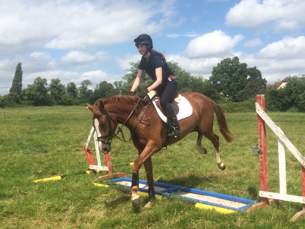 ColinaPickles's tweet photo. Lovely Luna having a go at jumping. Water trays no sweat! #poshpony picklesponies https://t.co/SLFJ9SS0sQ