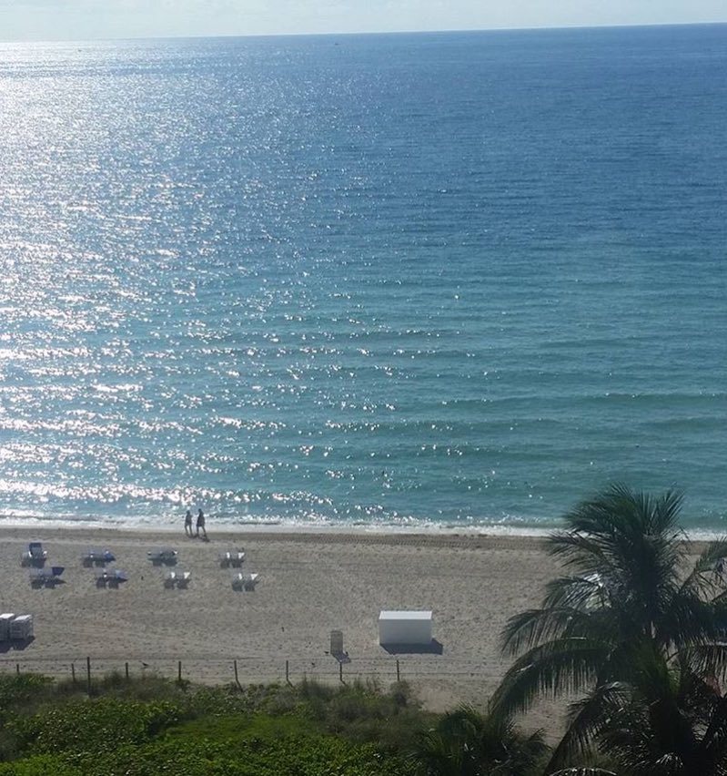 MBeachResort's tweet photo. #flashbackfriday by @nottsgirl76 👀☀️🌴 #WakeUpInMiami https://t.co/C7hhAn6G9j https://t.co/gJAC6IQGra