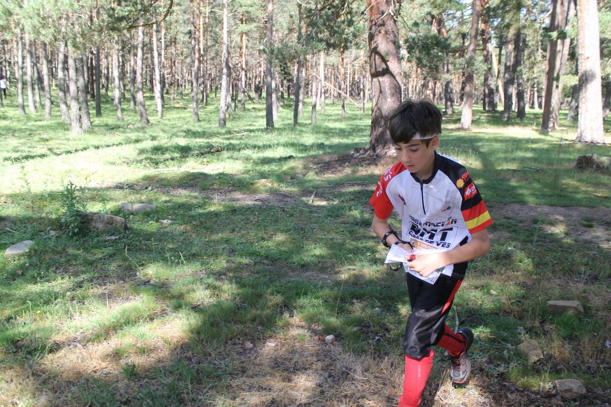 fecamado's tweet photo. Fotos realizadas por Inma Górriz del Trofeo Internacional de Orientación Pinares @5days2016 https://t.co/o0oPgPMz2Z https://t.co/VstPljP0RU