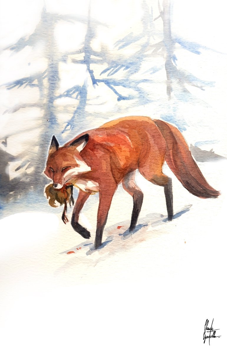 GClart's tweet photo. #fox #snow #winter #prey #food #mother #woods #redandwhite https://t.co/DFez60updq