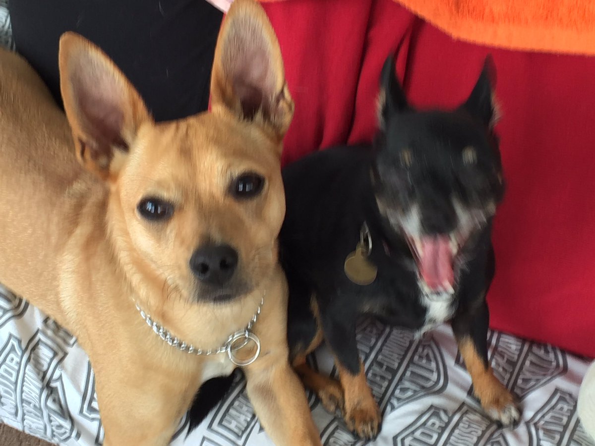 PICKMICK2016's tweet image. When you want to chill but your girlfriend want to party like a rockstar!