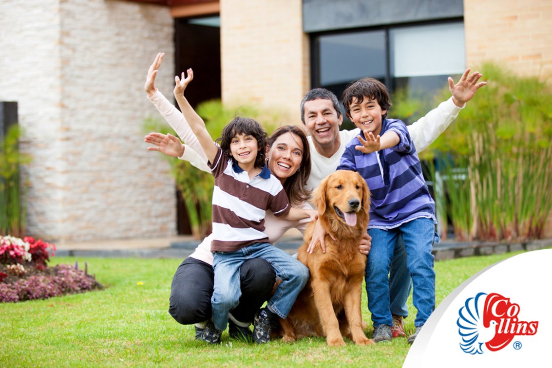 Lab_Collins's tweet image. #QuisieraSerPerroPara dar ejemplo de lealtad y fidelidad.