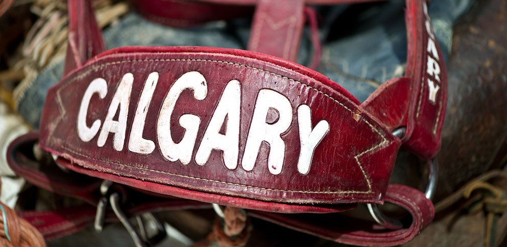 MarcotteGlass's tweet photo. It's almost time...are you ready for the Greatest Outdoor Show on Earth?#stampedeparade https://t.co/k3N47eukKd