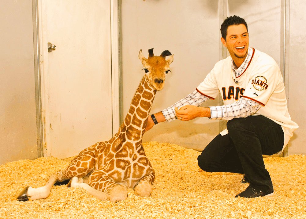 carlosolin's tweet photo. #VoteBelt #SFGiants https://t.co/bgJ5LMDOFG