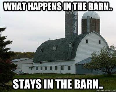 farmingmeme's tweet photo. #farmingmeme #FarmMemeFriday sponsored by @tractorpal_app & @farmingmeme https://t.co/VV7deHnwXz