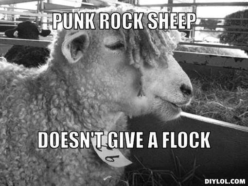farmingmeme's tweet photo. #farmingmeme #FarmMemeFriday by @tractorpal_app & @farmingmeme https://t.co/LDiS9SYlDv