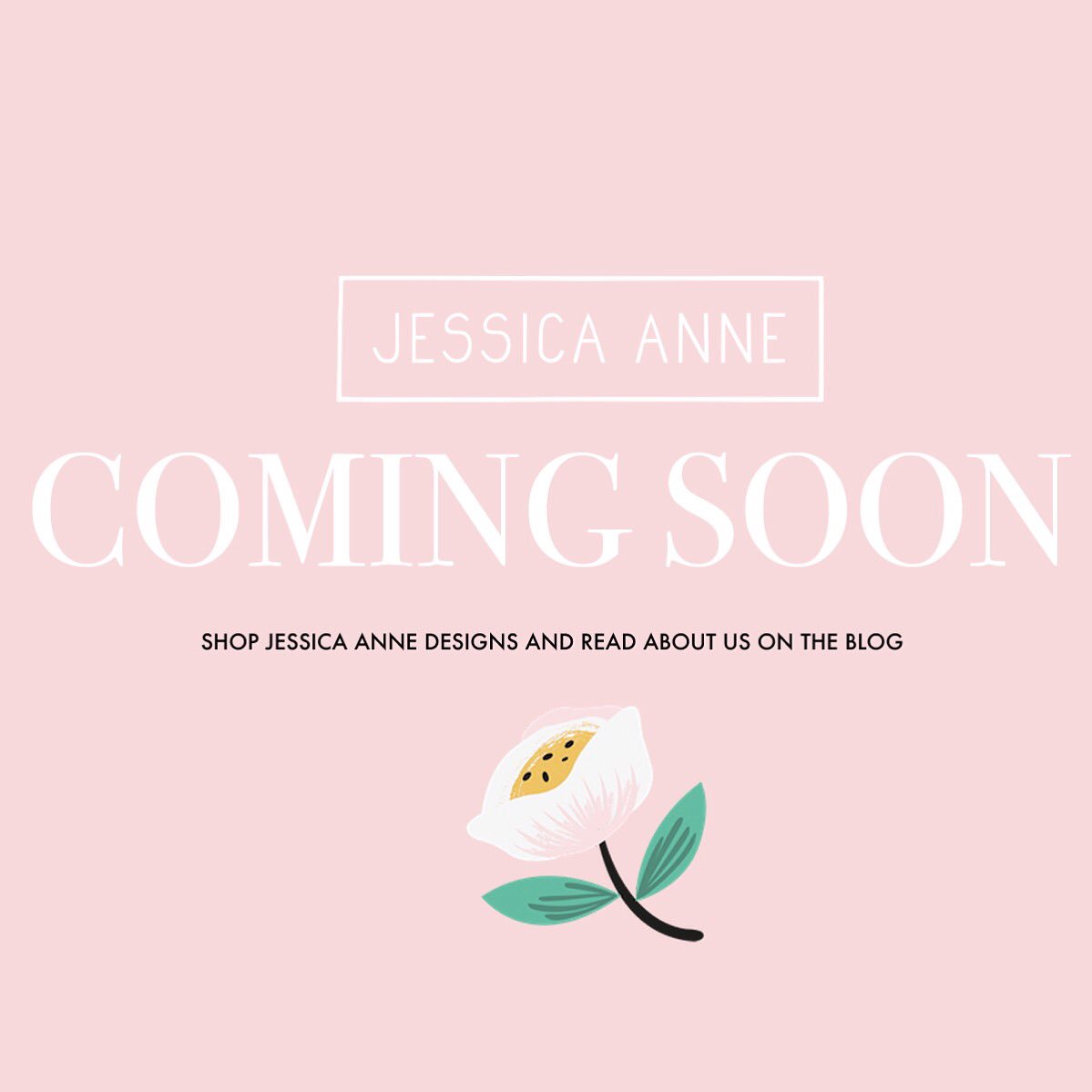 Jessica Mole tweet media