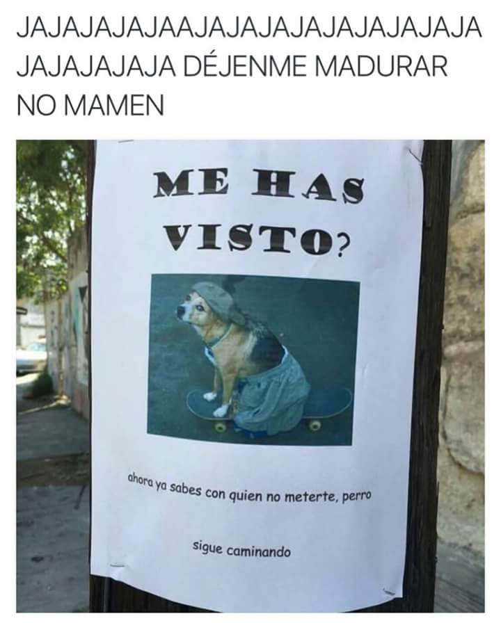 erikdgc's tweet photo. #BuenViernes #actitud #jajaja tengo que hacerlo con halle https://t.co/VHGhNryRAN