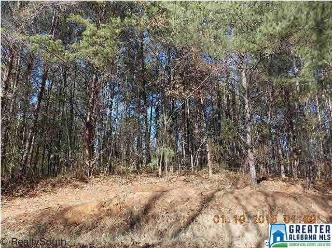 soldbyjeddings's tweet photo. Check out my #listing in #Adger #AL https://t.co/ERlmXGOhsP #realestate #realtor https://t.co/XTn7F3DSgy