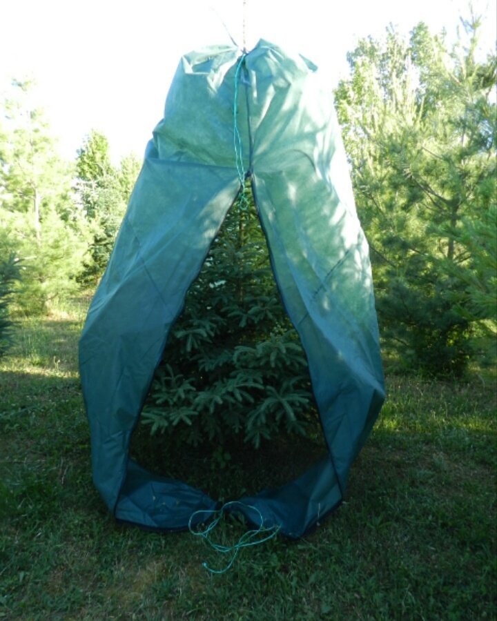 TREE-ZIP tweet media