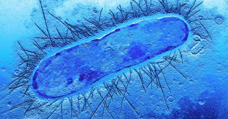 TechMindsets's tweet image. Creating life through #generative_design dlvr.it/LldRfj