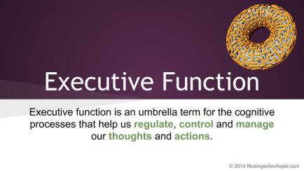 What is executive function?  Lots of educators use this term.  This is what it means!