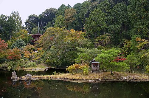japoneando's tweet photo. Jōruri-ji (浄瑠璃寺) https://t.co/3r3IWWi3g8 https://t.co/QcaBw08XWU