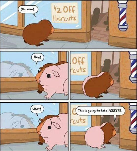 centerofmath's tweet photo. Do you understand this #MathJoke? Happy #FunFriday to all of our followers! https://t.co/Ug95UjaDCB
