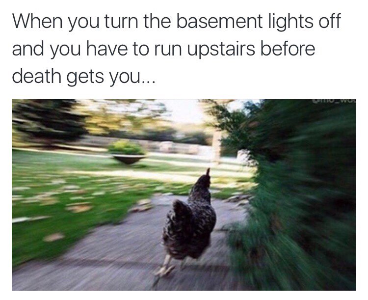 Run Scared Meme