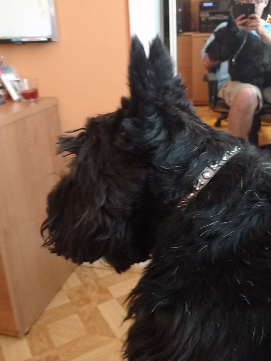 Just another day at the office dealing with rowdy co workers