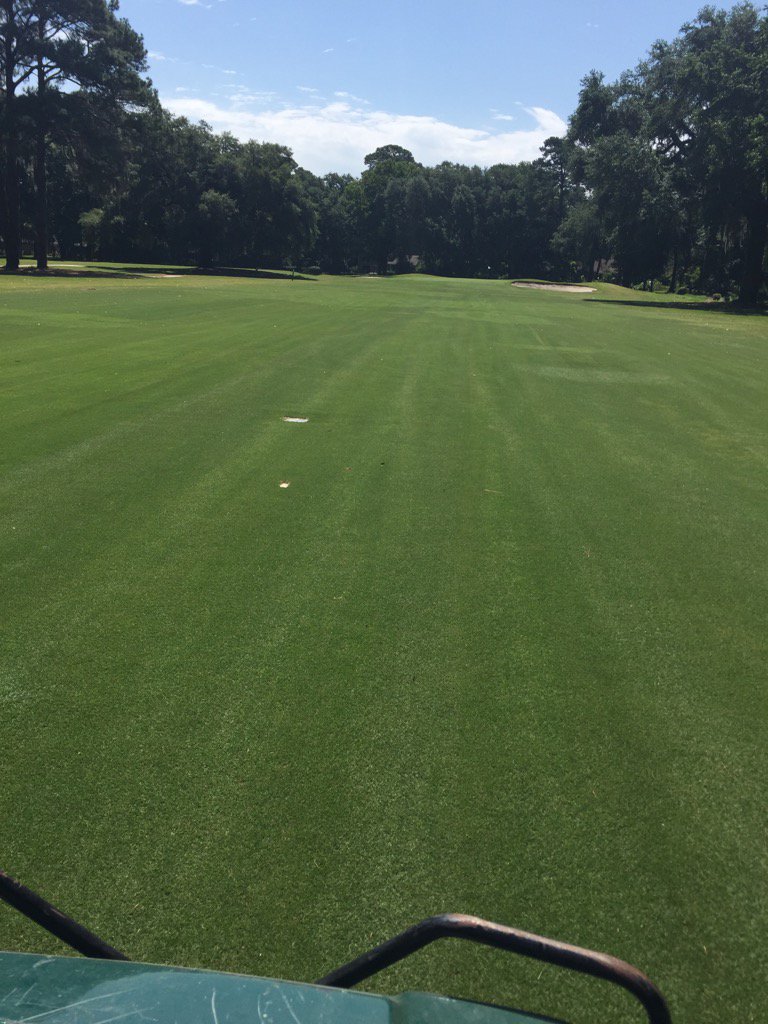 DekleJeff's tweet photo. #UMaxx and #Ultramate got these old fairways looking nice. #wilmingtonislandclub. #donaldross1927 https://t.co/w7WnqGtCvY