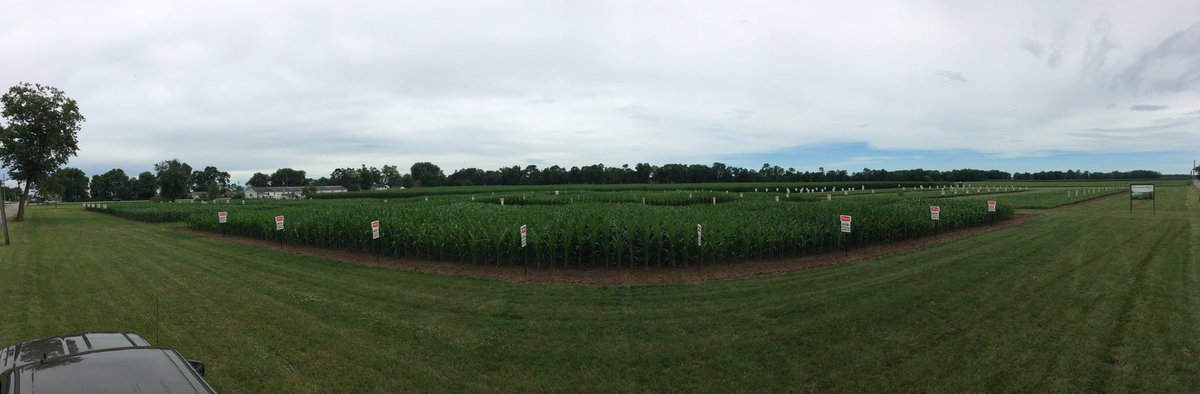Ryan_SAA's tweet photo. Signed the Pershing Answer Plot this week in the rain! Thanks to Harvest Land Employees &amp; Field tech for the help! https://t.co/APhCcuJyVj