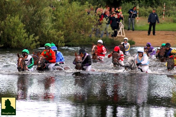 #Seejagdrennen in #Hamburg 5. Juli 2016 #summer #seepferdchen #derbyhh #derbymeeting #racinglovers