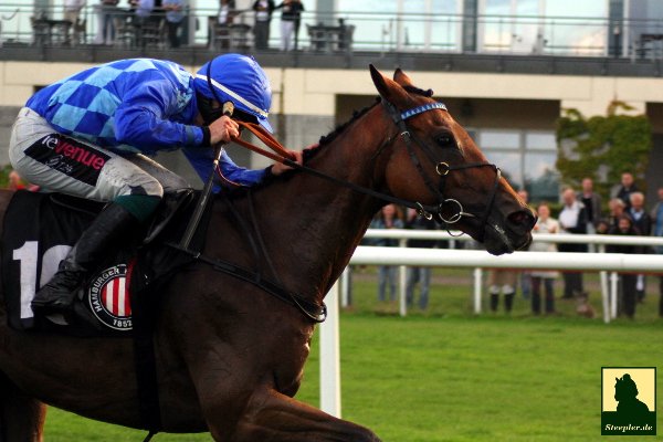 Force Group läuft ein starkes Rennen und sichert sich den zweiten Platz unter Mark Quinlan #seejagdrennen #derbyhh