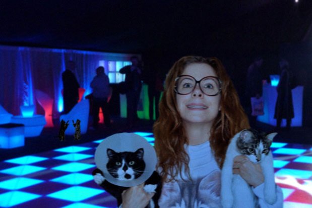 Dig Your Claws into the World's First Cat Nightclub bit.ly/1KQDtA8